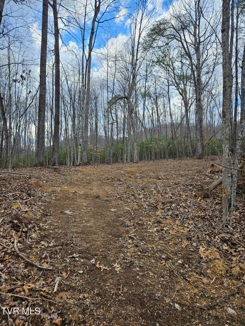 Photo #16: Tbd Right Poor Valley Road