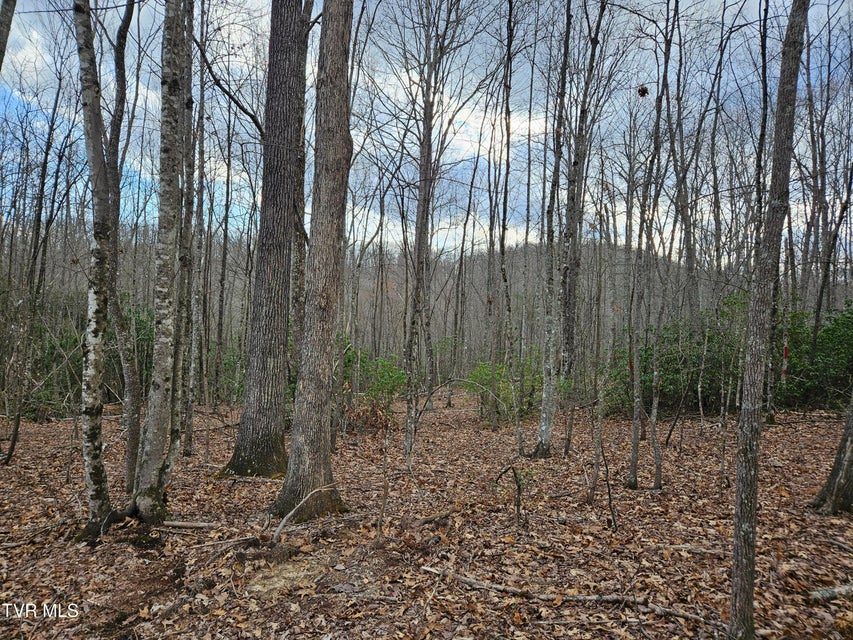 Photo #19: Tbd Right Poor Valley Road