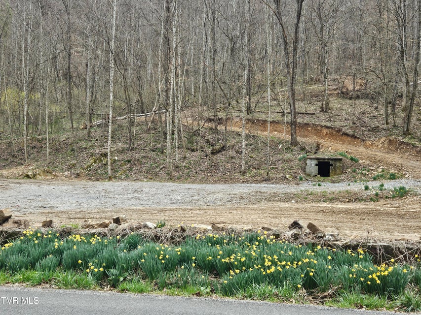Photo #21: Tbd Right Poor Valley Road