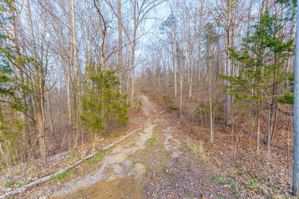 Photo #5: 27 Ac Douglas Dam Road