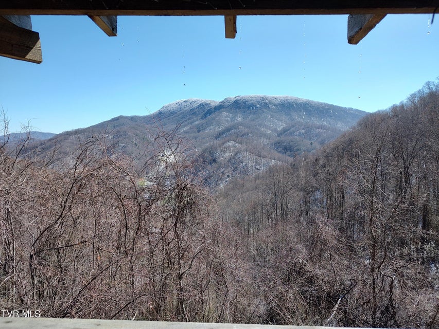 Photo #5: 174 Doty Road
