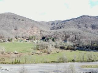 Photo #66: 164 Kermit Day Road