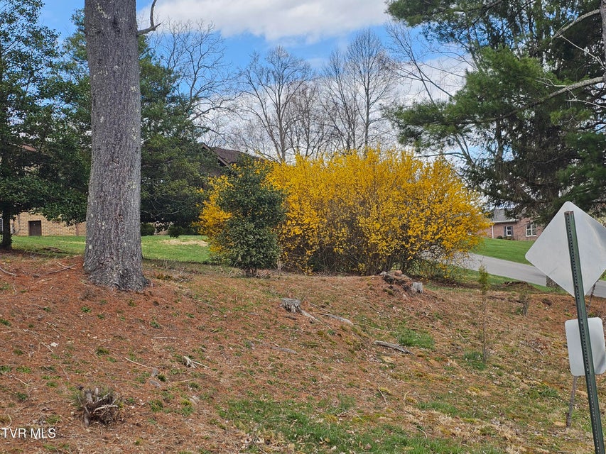Photo #8: Tbd Orchard Lane