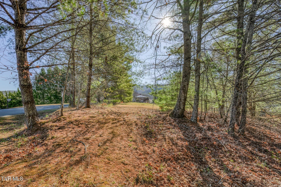 Photo #19: Tbd Highland Acres