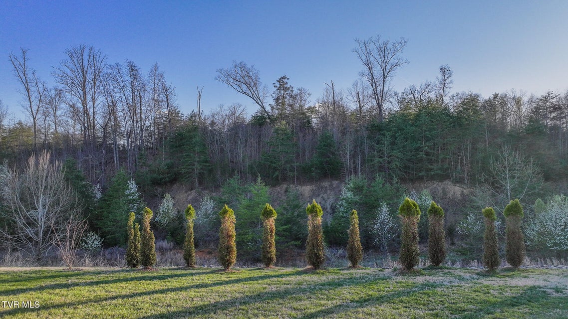 Photo #25: 374 Coldwater Drive