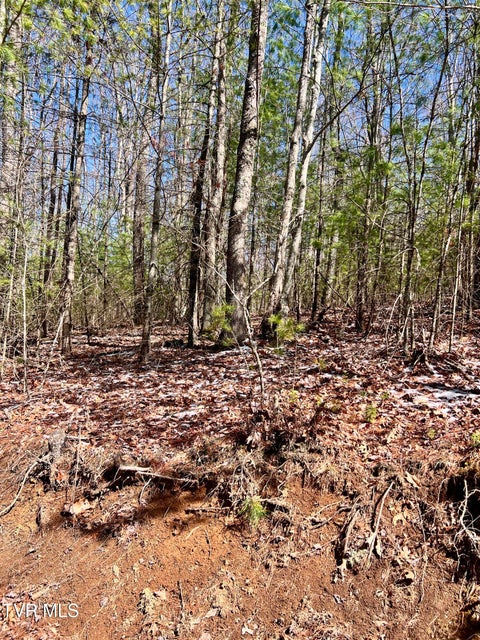 Photo #6: 900 Crowder Road