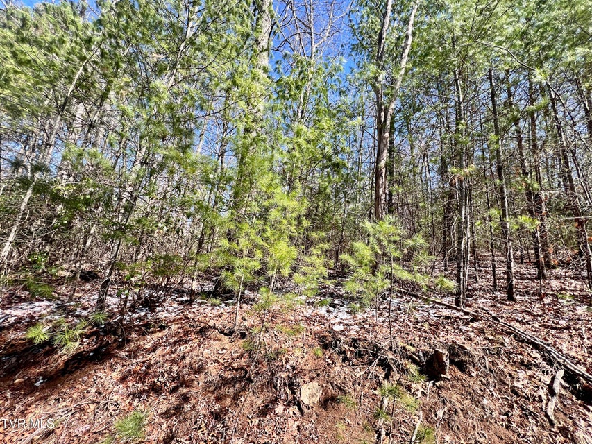 Photo #7: 900 Crowder Road