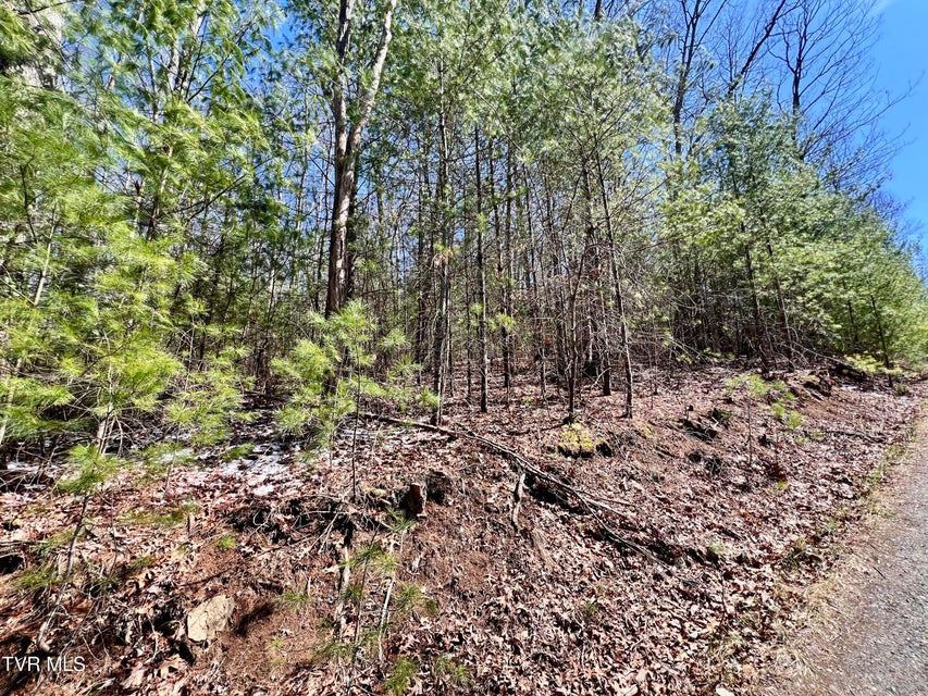 Photo #8: 900 Crowder Road