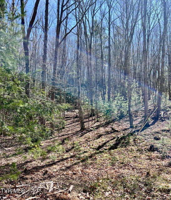 Photo #9: 900 Crowder Road