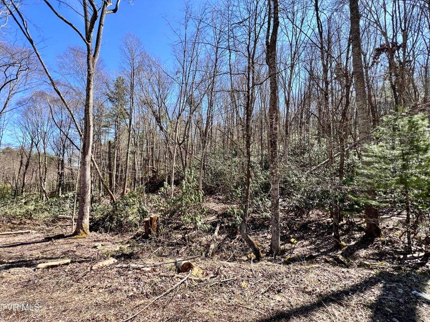 Photo #11: 900 Crowder Road