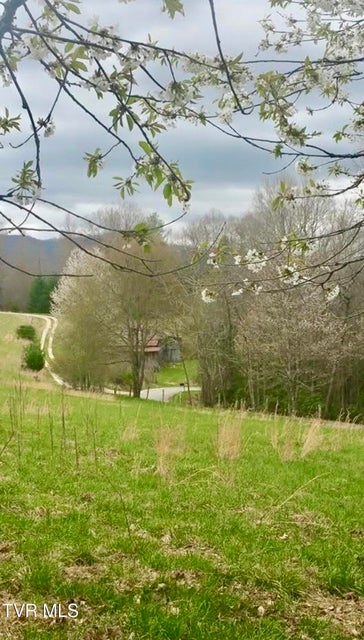 Photo #5: 900 Crowder Road