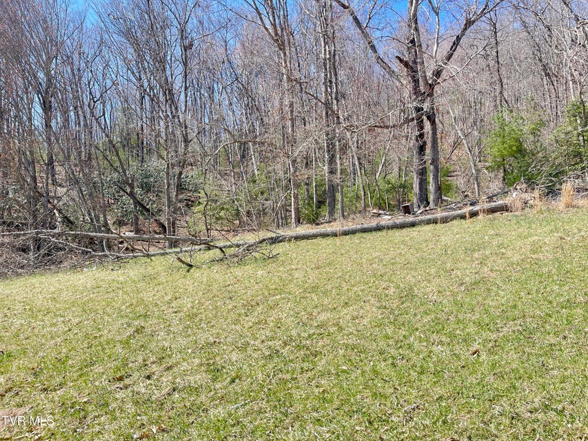 Photo #17: 900 Crowder Road