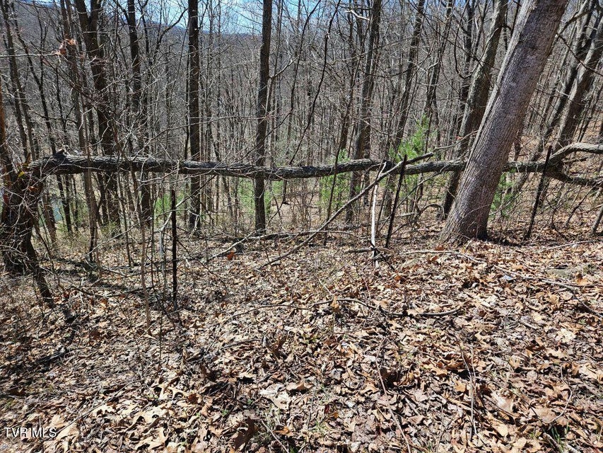 Photo #14: 1 Reynolds Ridge Road