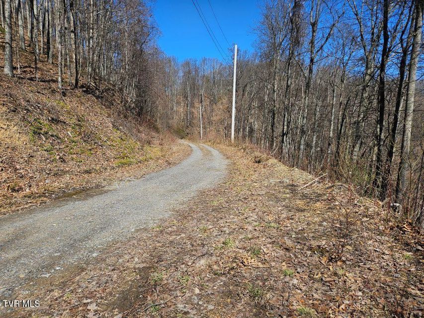 Photo #15: 1 Reynolds Ridge Road