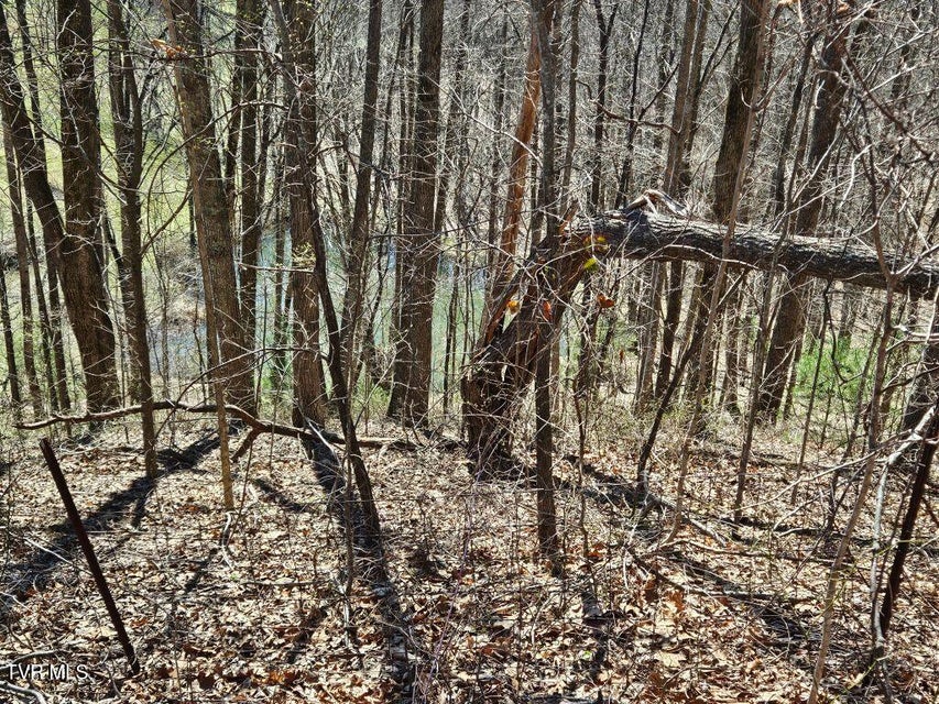 Photo #17: 1 Reynolds Ridge Road