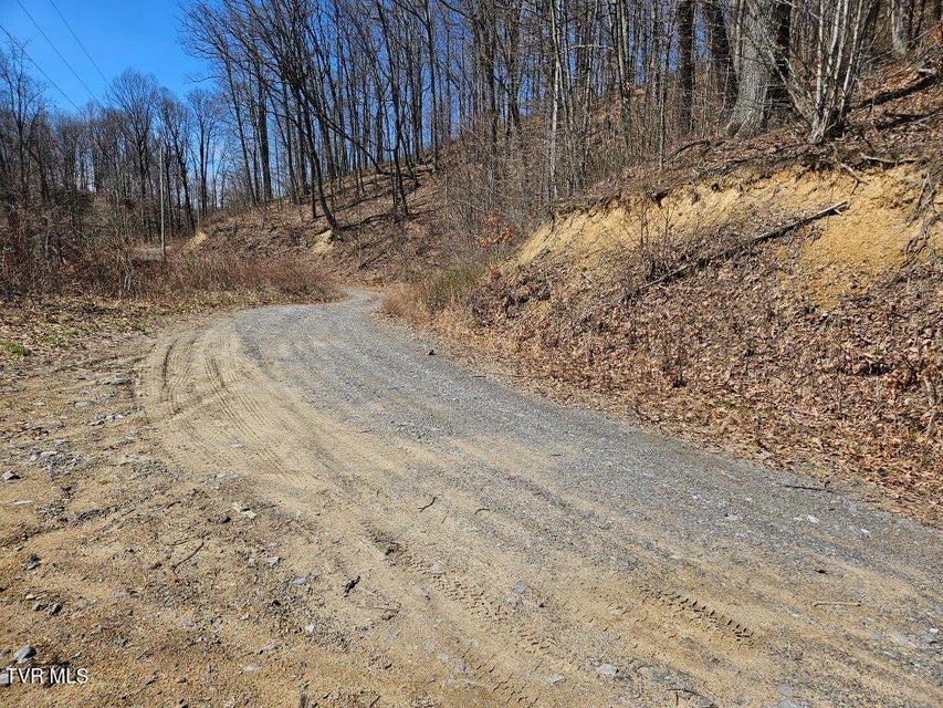 Photo #18: 1 Reynolds Ridge Road