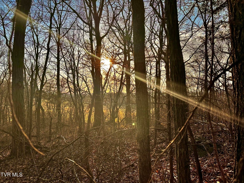 Photo #10: Tbd Saint James Road