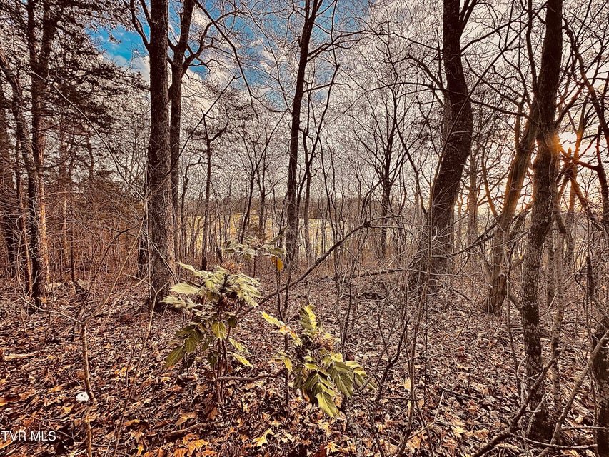 Photo #11: Tbd Saint James Road
