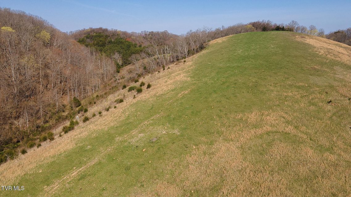 Photo #36: Tbd 49.60 Looney Road