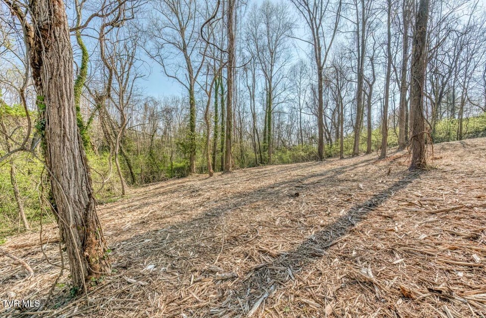 Photo #8: Tbd Tenth Extension Avenue