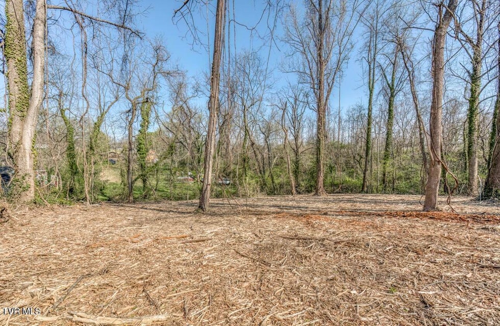 Photo #9: Tbd Tenth Extension Avenue