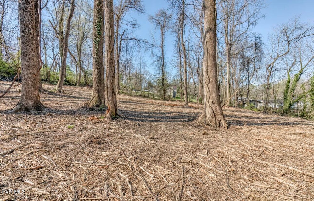 Photo #11: Tbd Tenth Extension Avenue