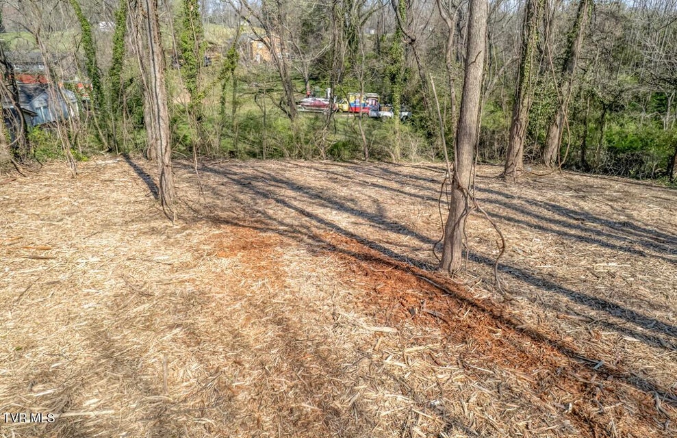 Photo #19: Tbd Tenth Extension Avenue