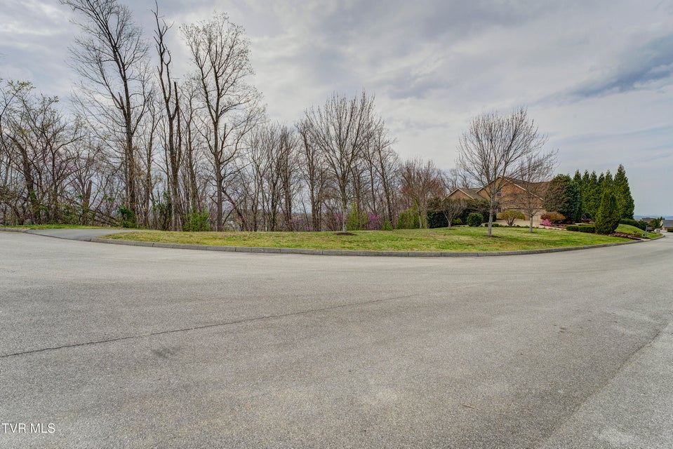 Photo #85: 1184 Cliffview Circle