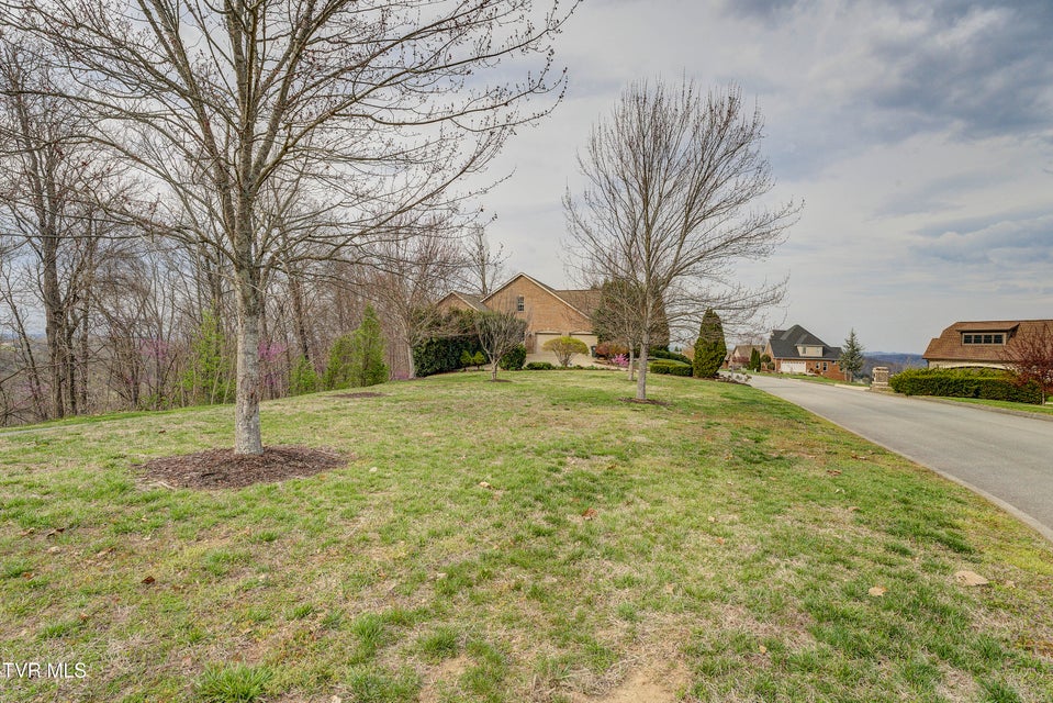 Photo #86: 1184 Cliffview Circle
