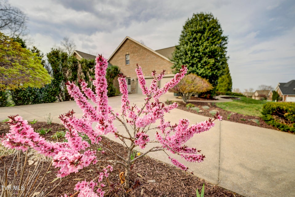 Photo #90: 1184 Cliffview Circle
