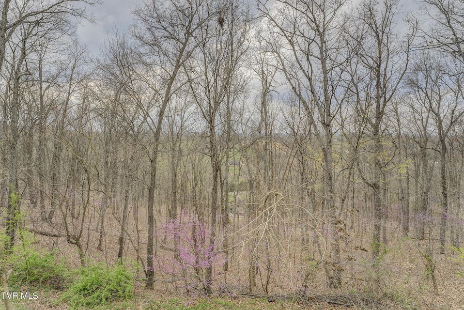 Photo #100: 1184 Cliffview Circle
