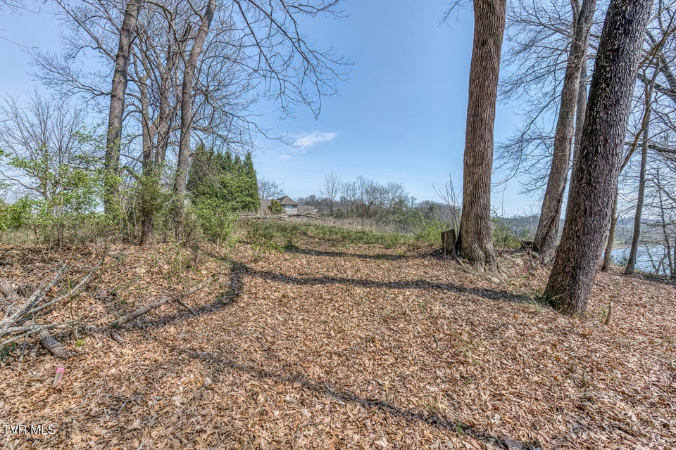 Photo #17: 1199 Austin Springs Road