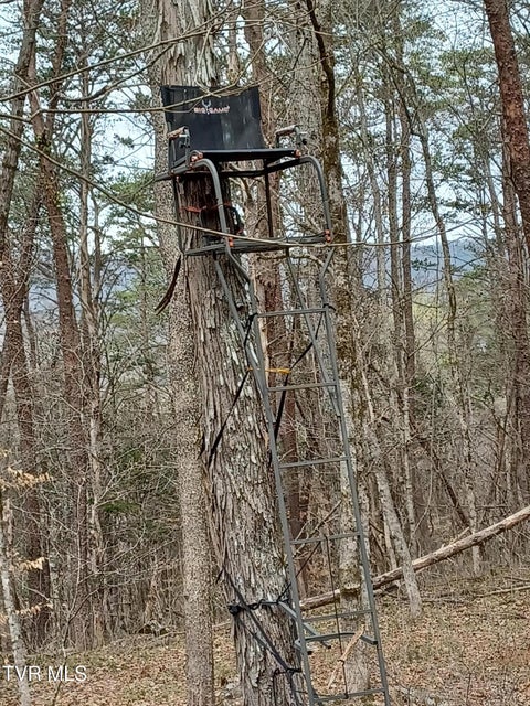 Photo #12: 20 Acres Tbd Dunville Gap Road