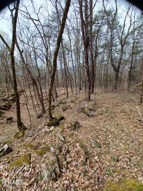Photo #14: 20 Acres Tbd Dunville Gap Road
