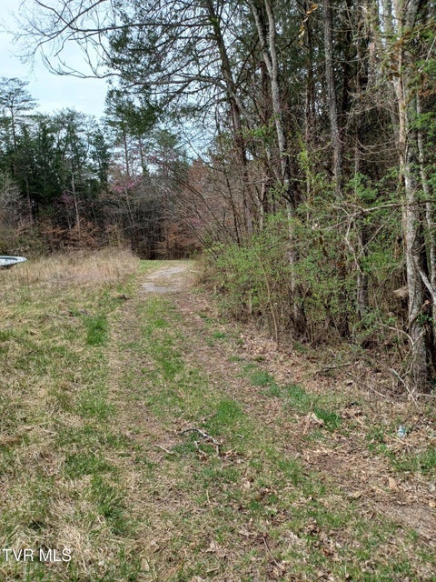 Photo #4: 20 Acres Tbd Dunville Gap Road