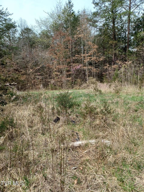 Photo #8: 20 Acres Tbd Dunville Gap Road