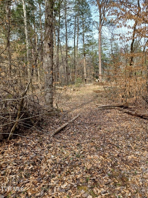 Photo #9: 20 Acres Tbd Dunville Gap Road