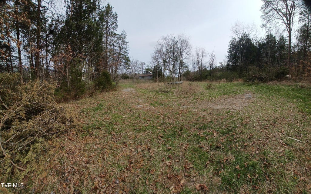 Photo #5: 20 Acres Tbd Dunville Gap Road