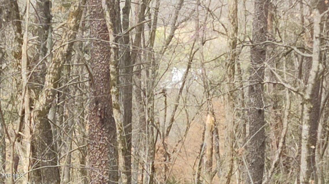 Photo #17: 20 Acres Tbd Dunville Gap Road