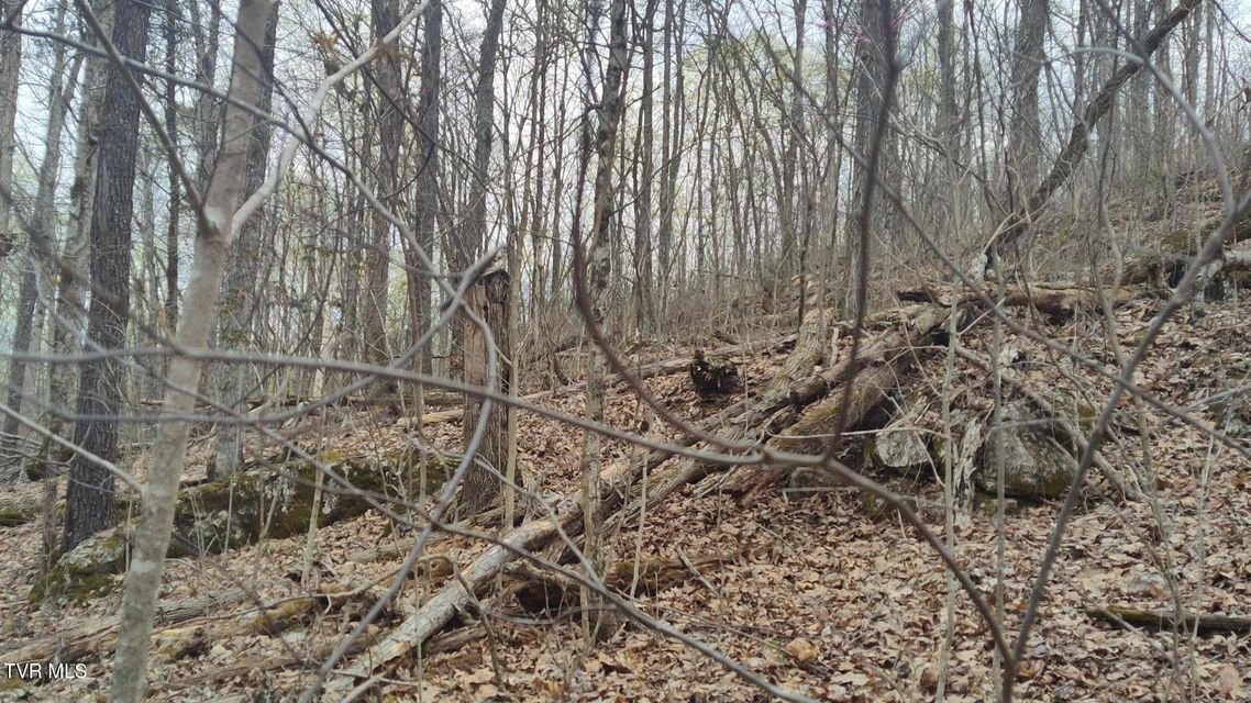 Photo #20: 20 Acres Tbd Dunville Gap Road