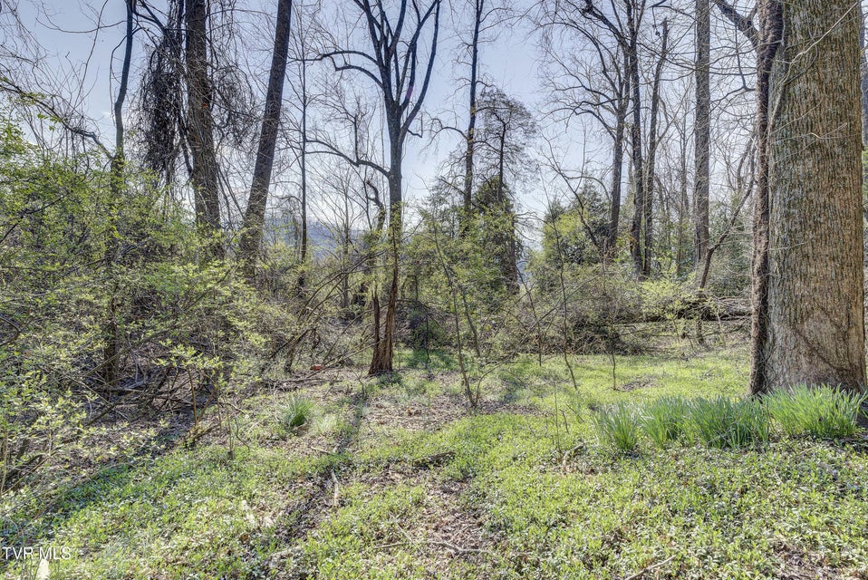 Photo #44: 143 Zeb Grindstaff Road