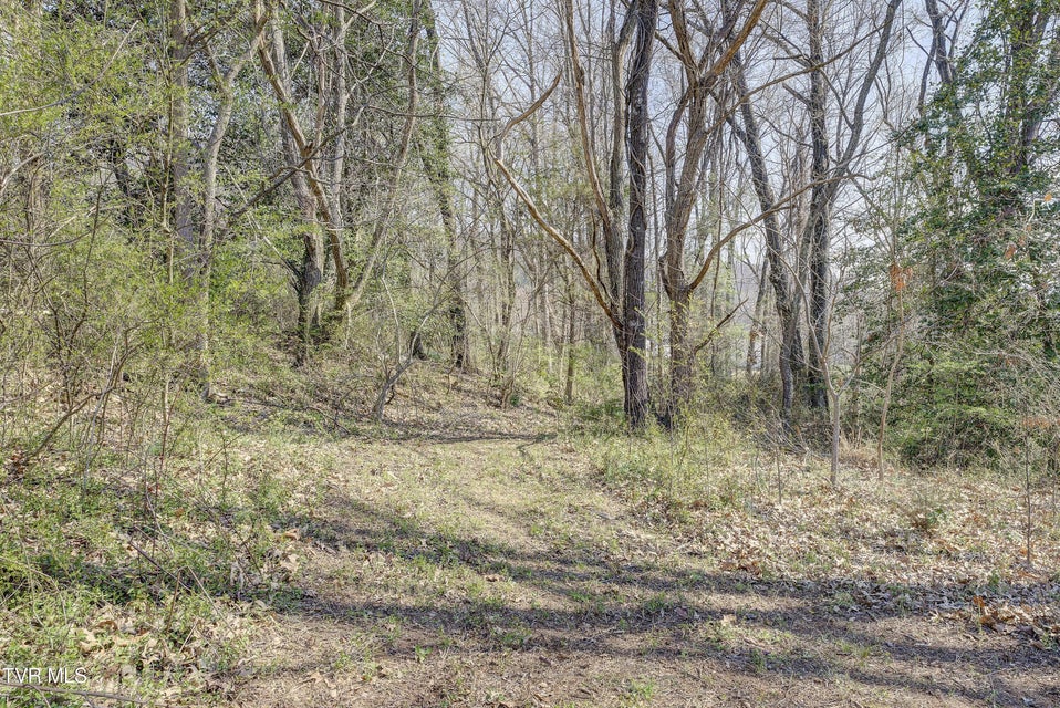 Photo #46: 143 Zeb Grindstaff Road
