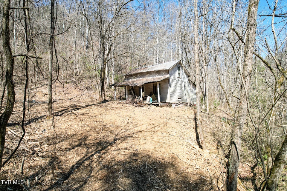 Photo #4: 35 Ac Payne Hollow Rd 