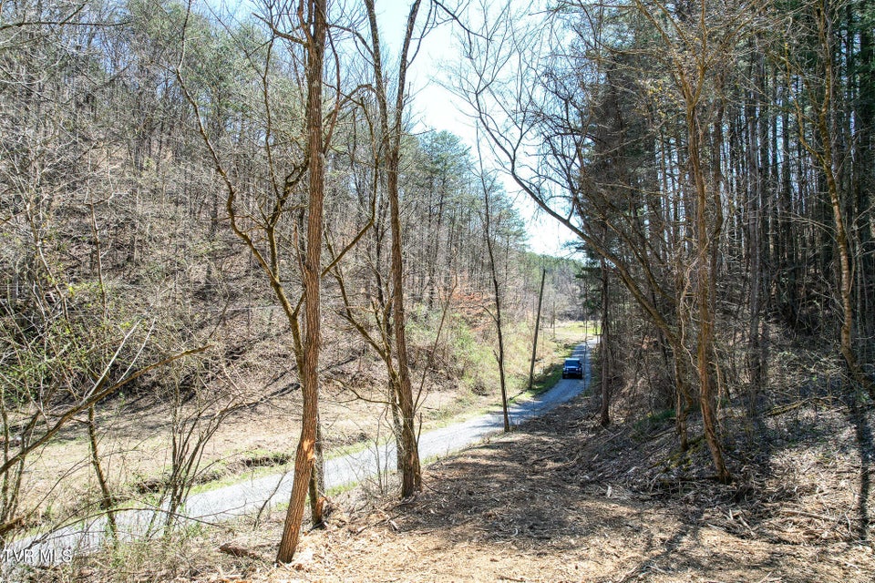 Photo #5: 35 Ac Payne Hollow Rd