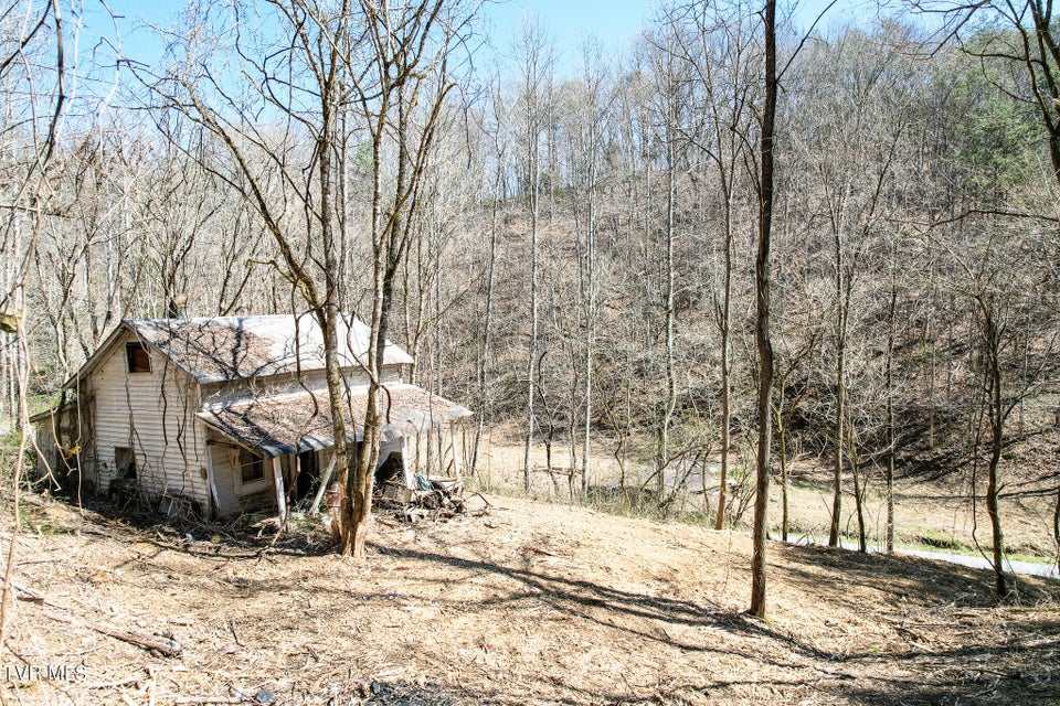 Photo #6: 35 Ac Payne Hollow Rd