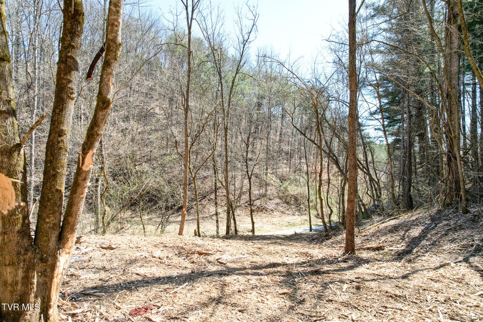Photo #7: 35 Ac Payne Hollow Rd