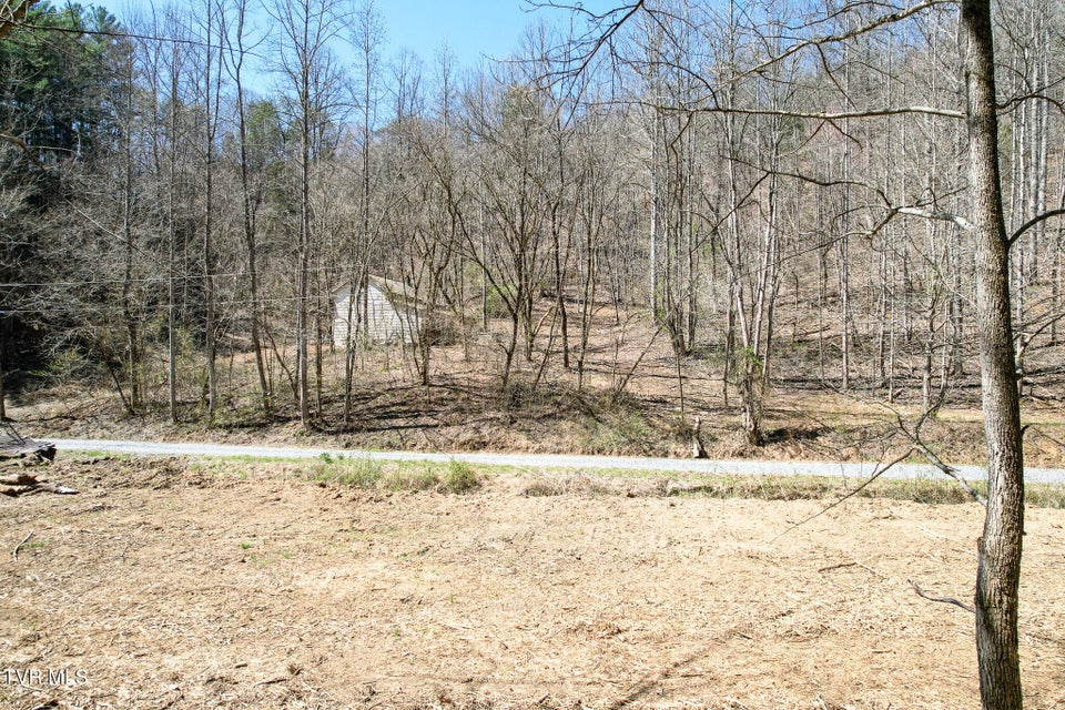 Photo #10: 35 Ac Payne Hollow Rd