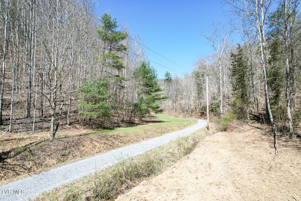 Photo #11: 35 Ac Payne Hollow Rd