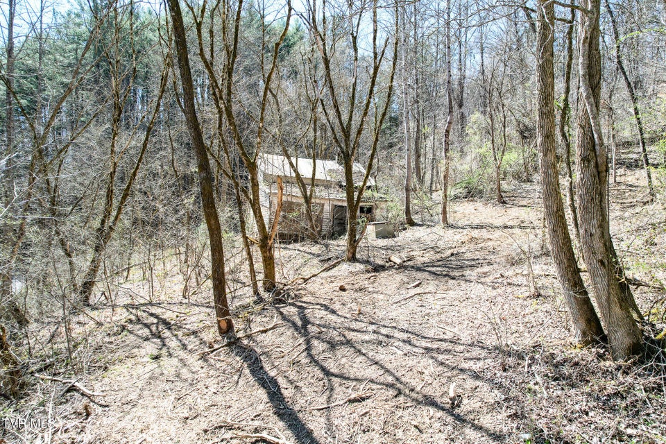 Photo #12: 35 Ac Payne Hollow Rd