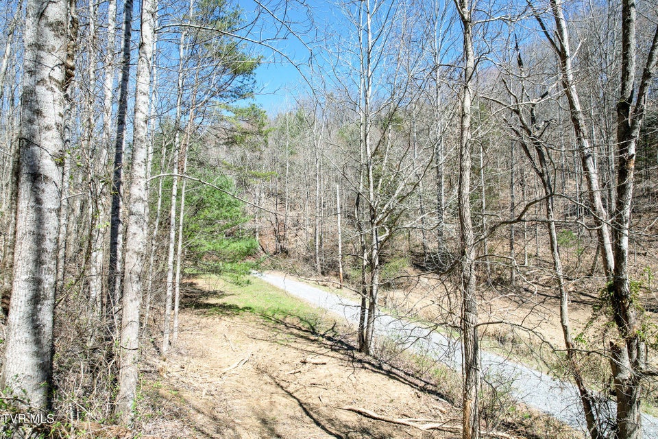 Photo #13: 35 Ac Payne Hollow Rd